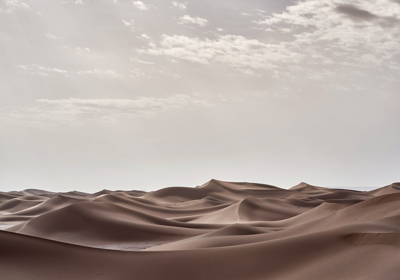 Sahara-Wüste Poster - Posterbox.dk