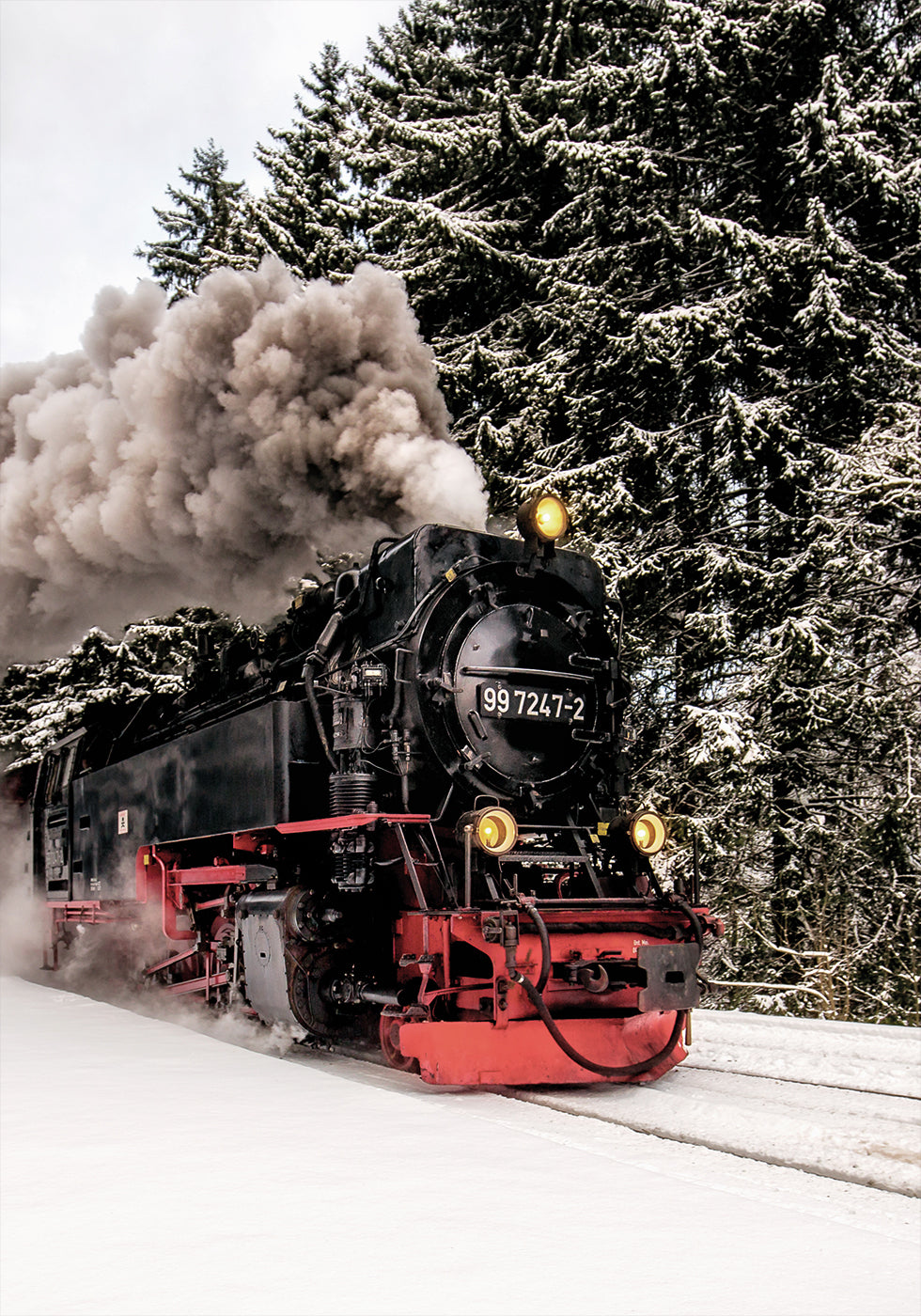 Poster Dampfzug im verschneiten Wald 