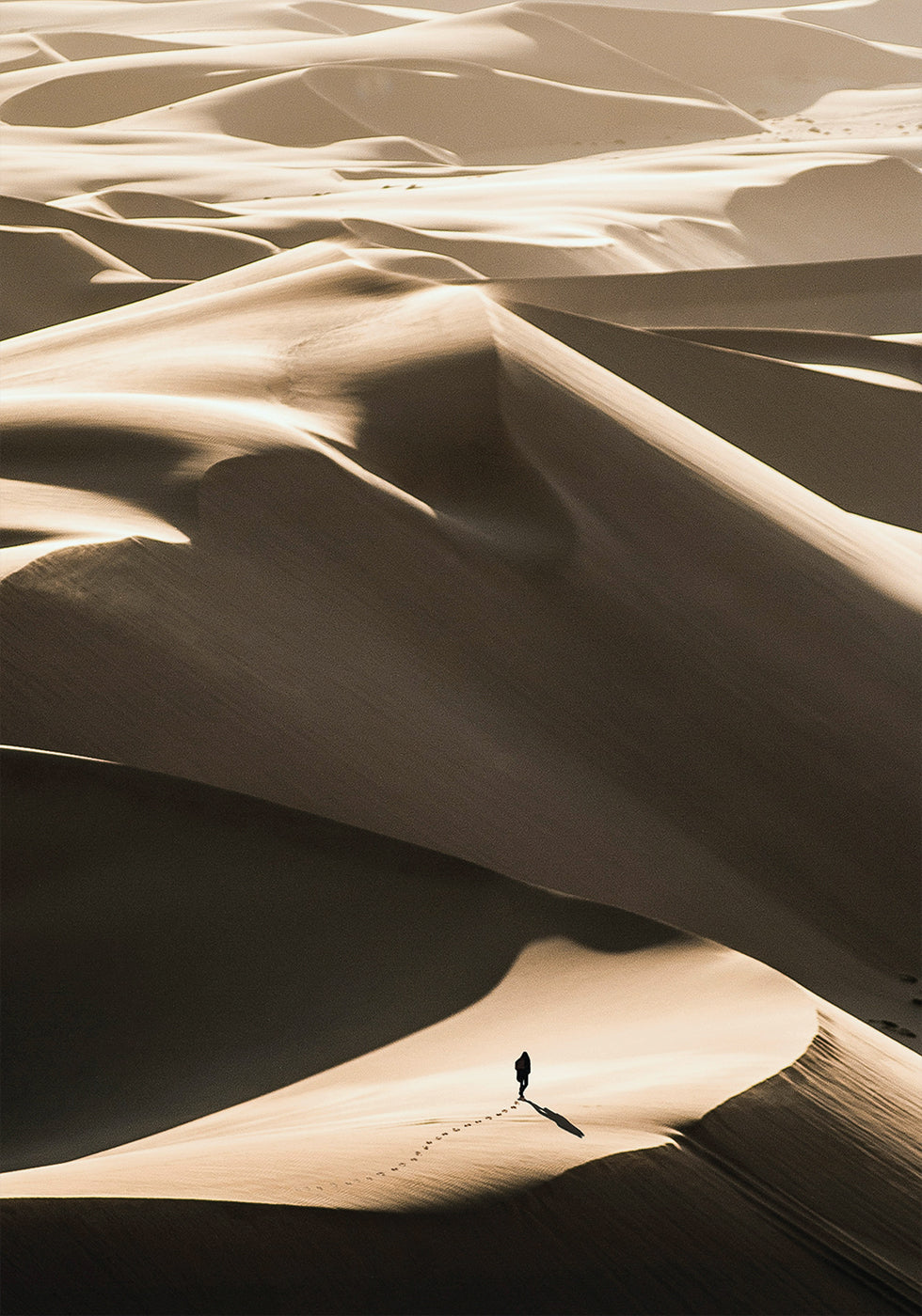 Poster „Walking In Desert“ - Posterbox.dk