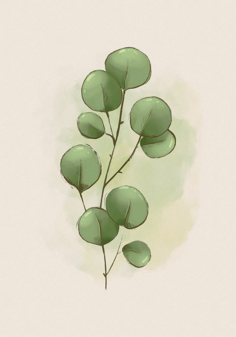 Aquarell Eukalyptus Botanisches Poster 