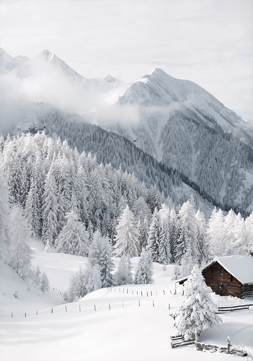 Poster Wintermärchen in den Alpen 