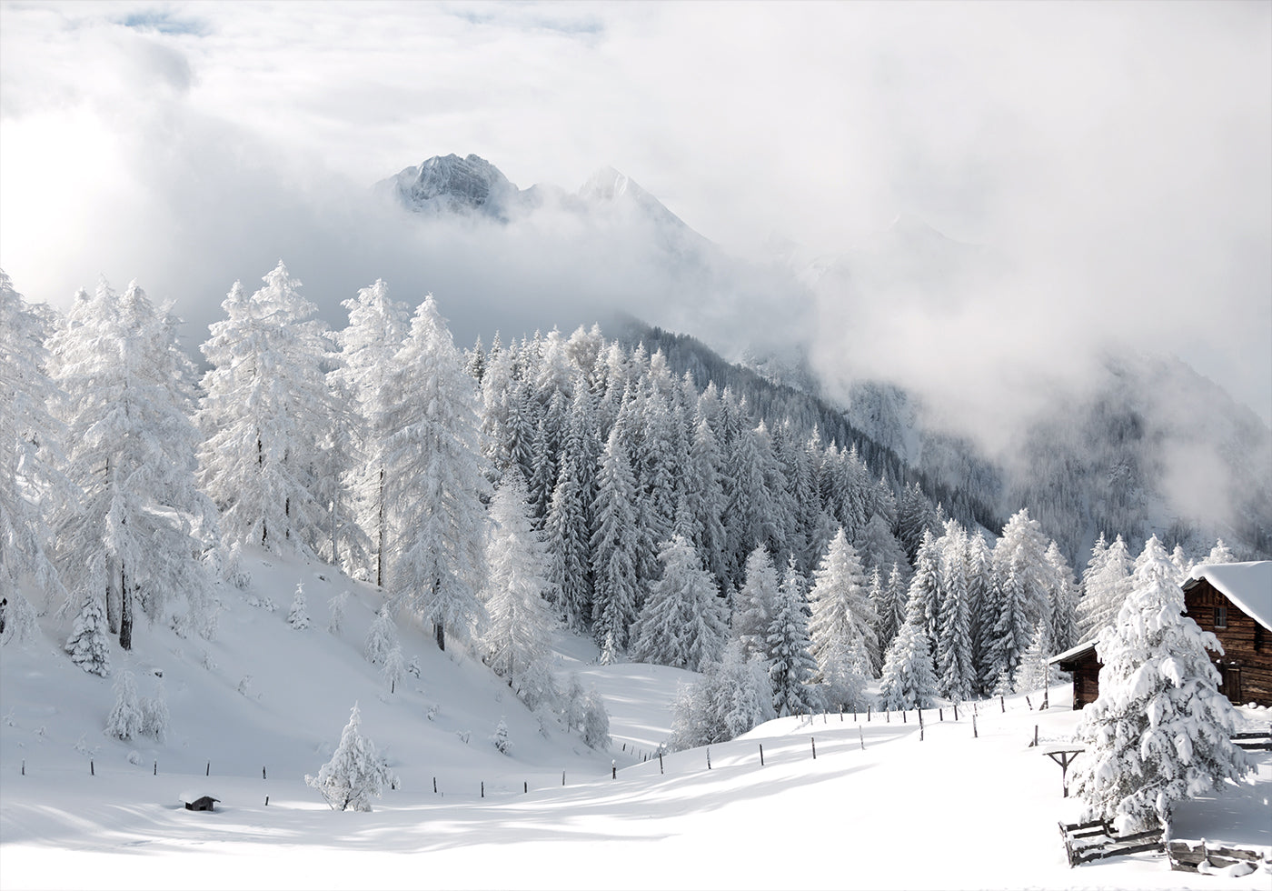 Poster Winterzauber in den Alpen 