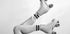 Woman Legs Skate Rollers Plakat - Posterbox.no