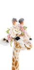 Floral Baby Giraffe (NEW) - Posterbox