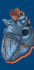 It Is Called a Heart (NEW) - Posterbox