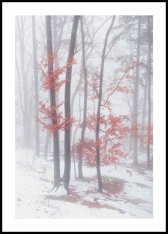 Autumnal snow Plakat - Posterbox