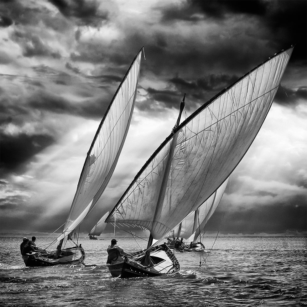 Sailboats and Light Plakat - Posterbox