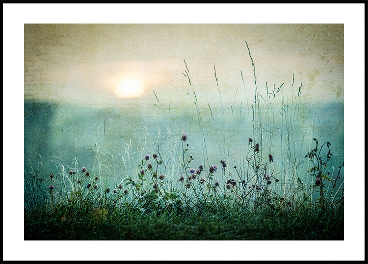 Autumn sunrise Plakat - Posterbox