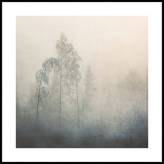 Silent Landscape Poster - Posterbox