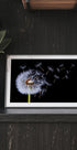 Dandelion Blowing Plakat - Posterbox