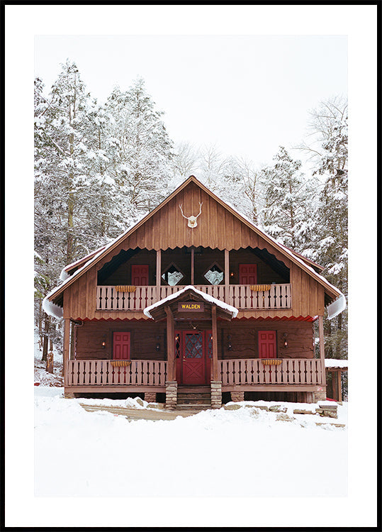 Upstate New York Snow XI Plakat - Posterbox