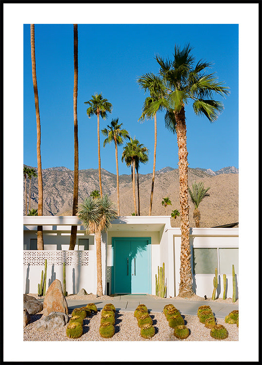 Palm Springs Architecture VII on Film (NEW) - Posterbox