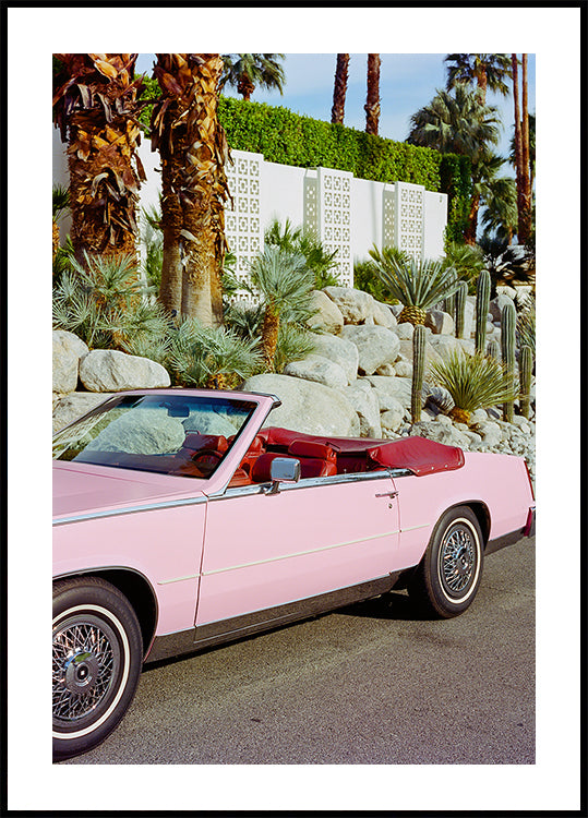 Palm Springs Ride II (NEW) - Posterbox