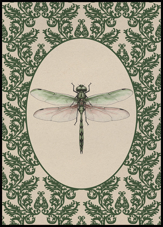 Vintage Dragonfly Study Poster - Posterbox