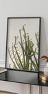 Cactus Plakat - Posterbox.dk