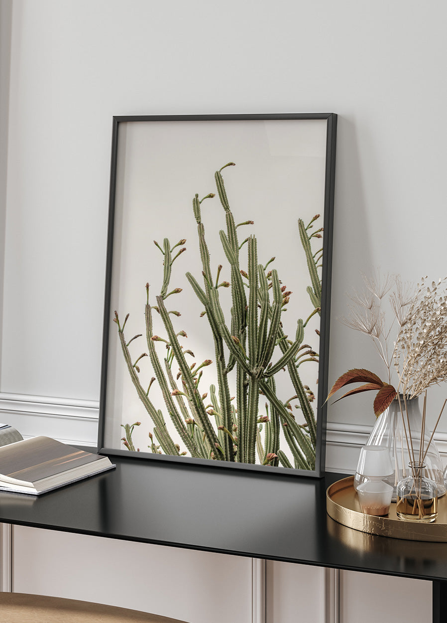 Cactus Plakat - Posterbox.dk