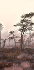 Sculpturel trees Plakat - Posterbox