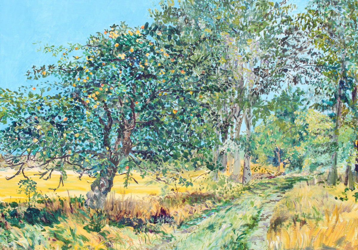 Sonniger Obstgartenweg