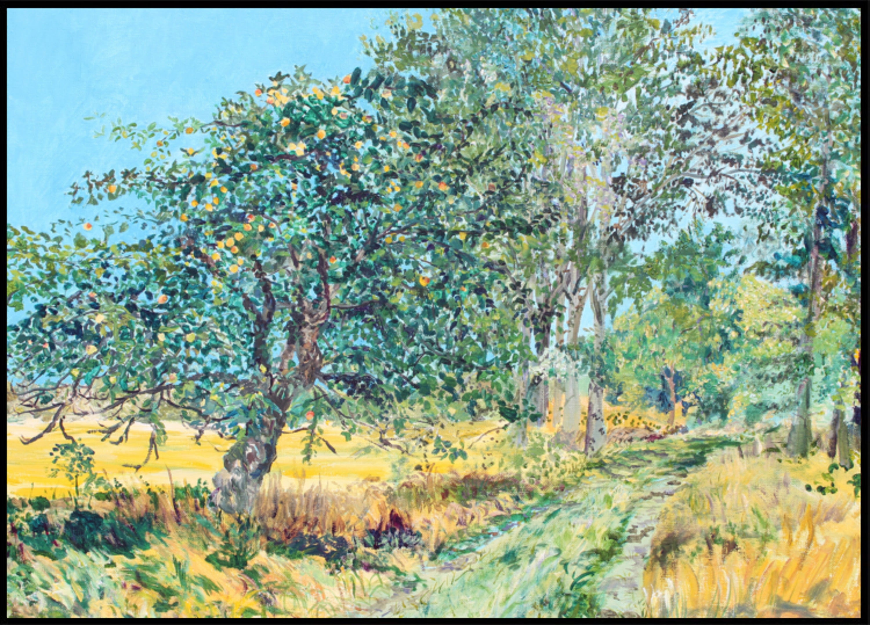 Sonniger Obstgartenweg