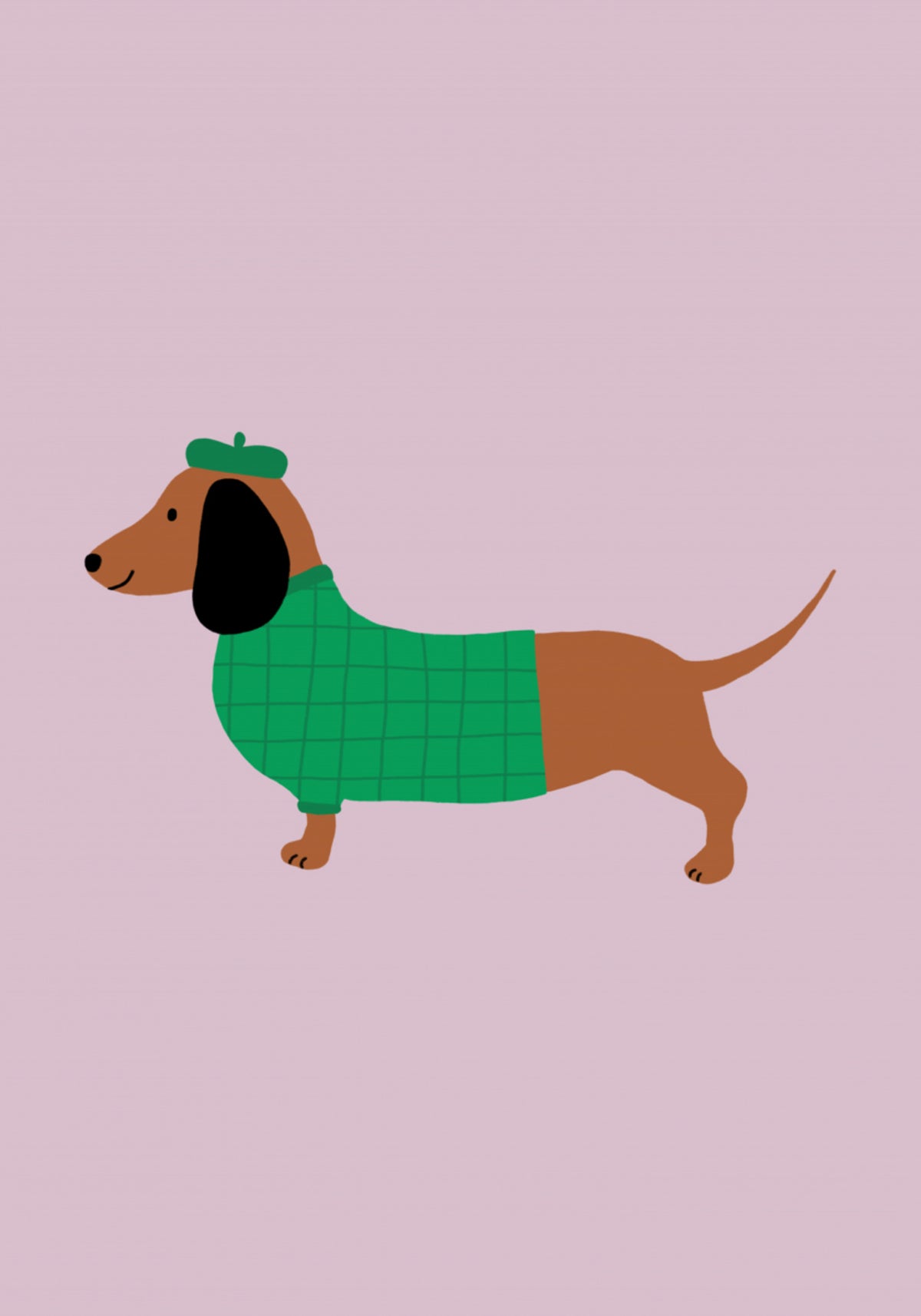 Eleganter Hund im Pullover