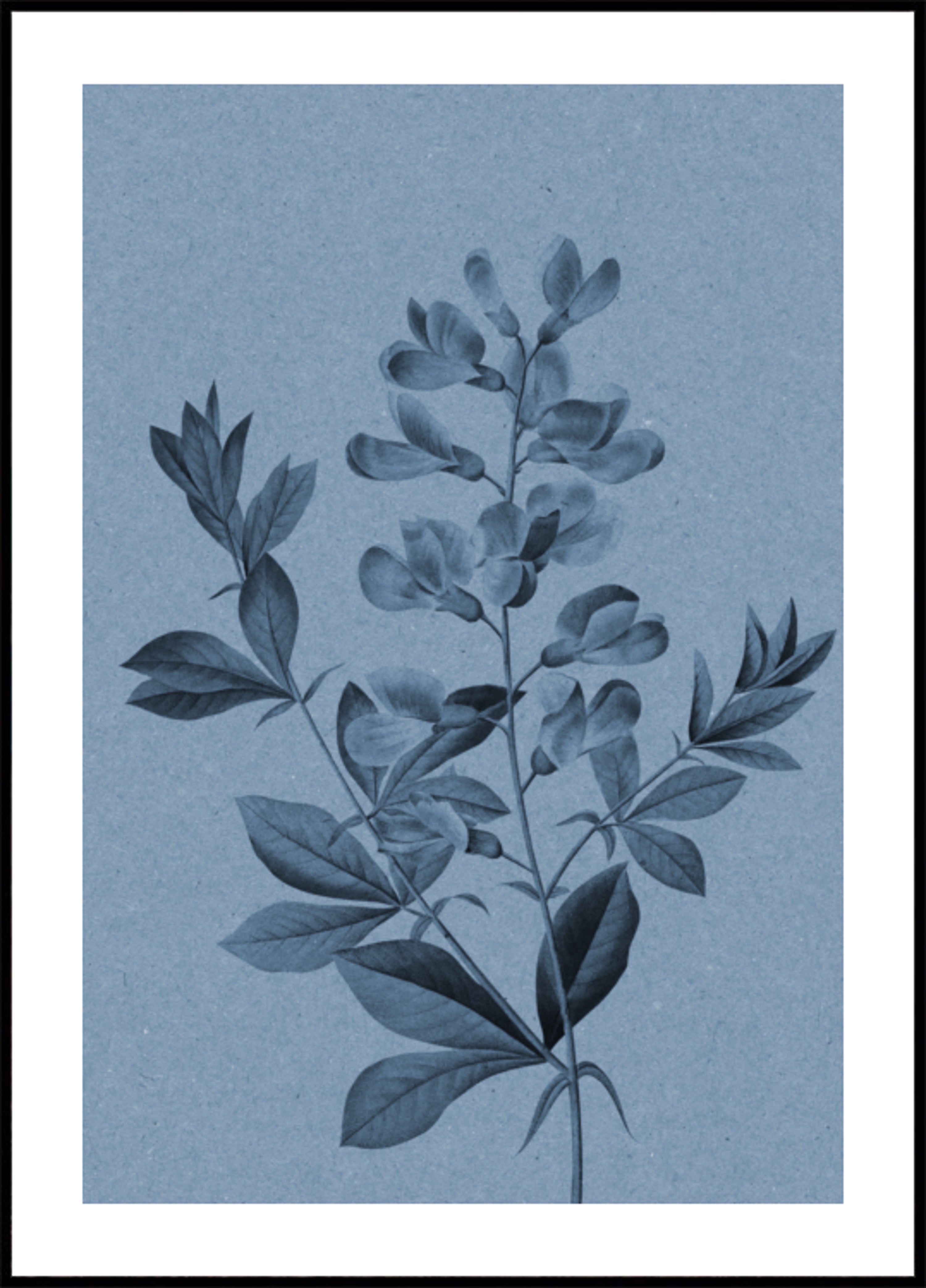 Elegante blaue Botanik