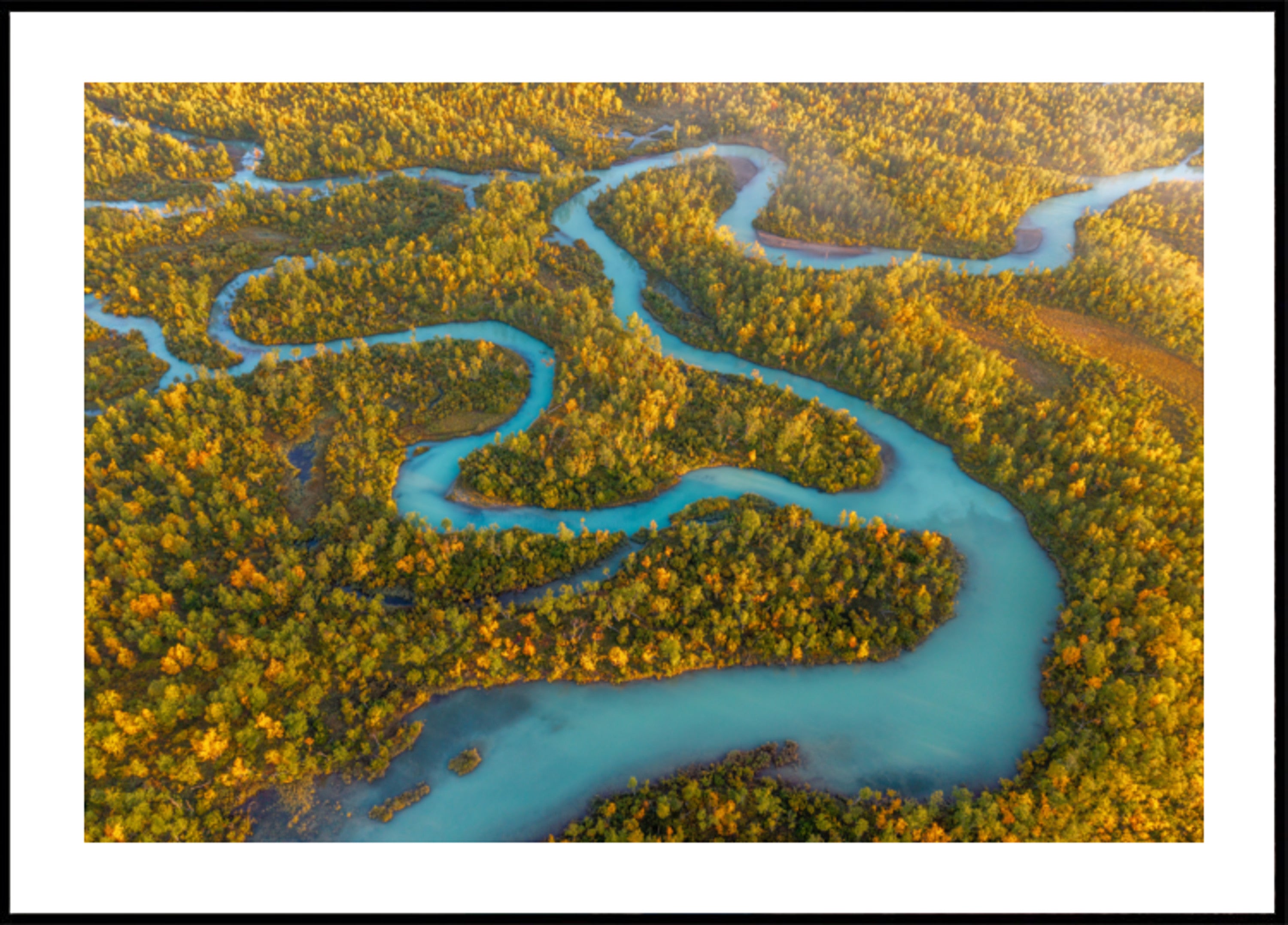 Gewundener Fluss-Herbstwald