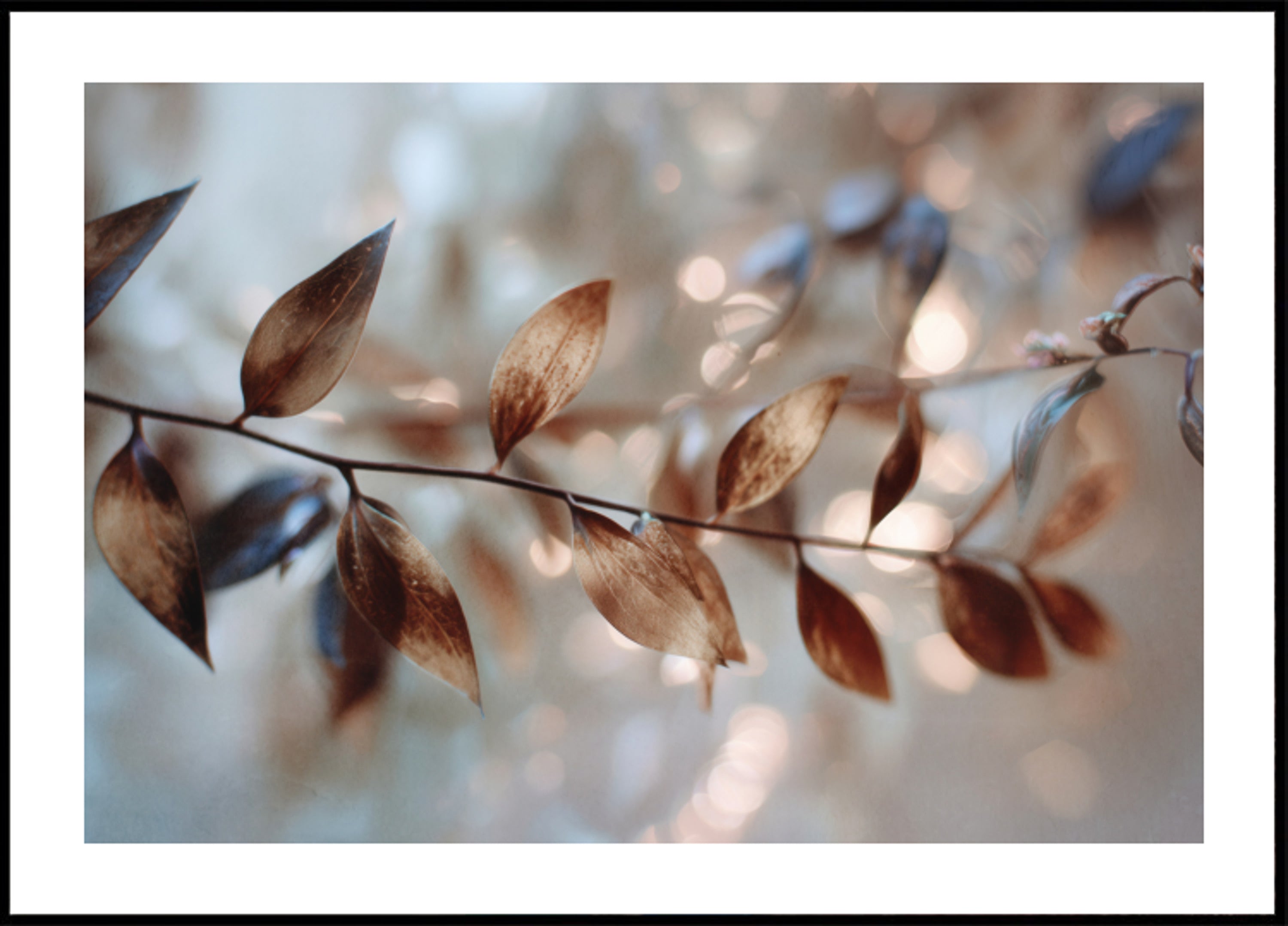 Zarte Bokeh-Blätter