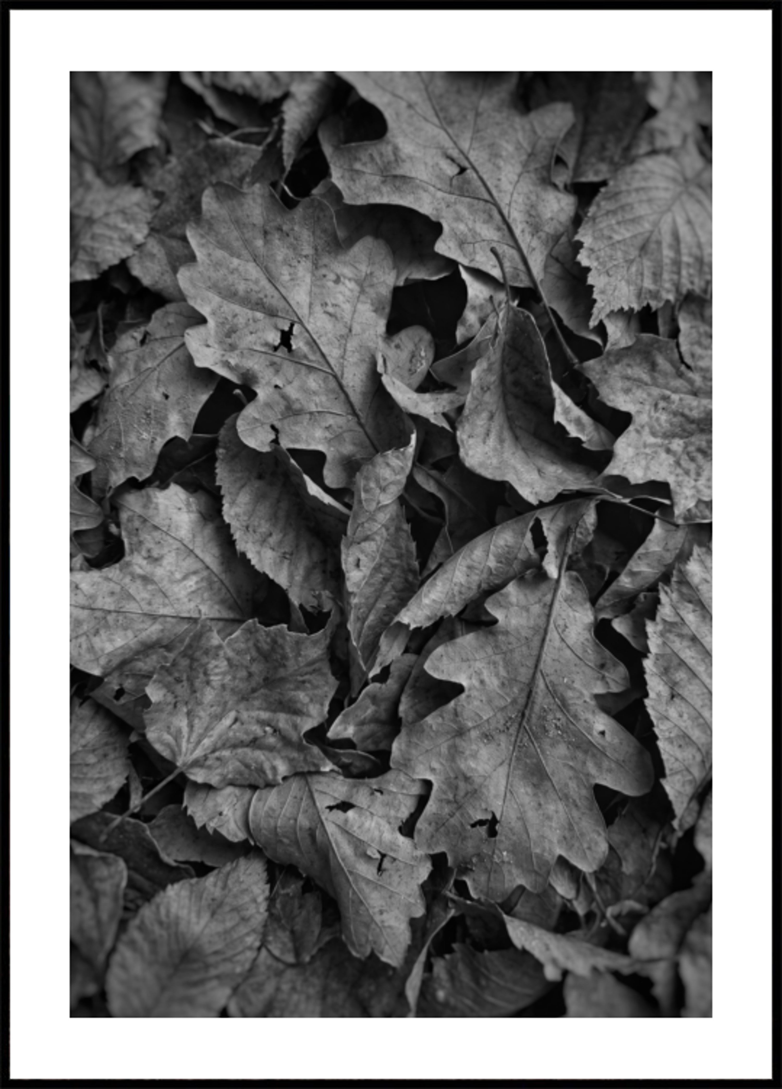 Monochromes Herbstlaub
