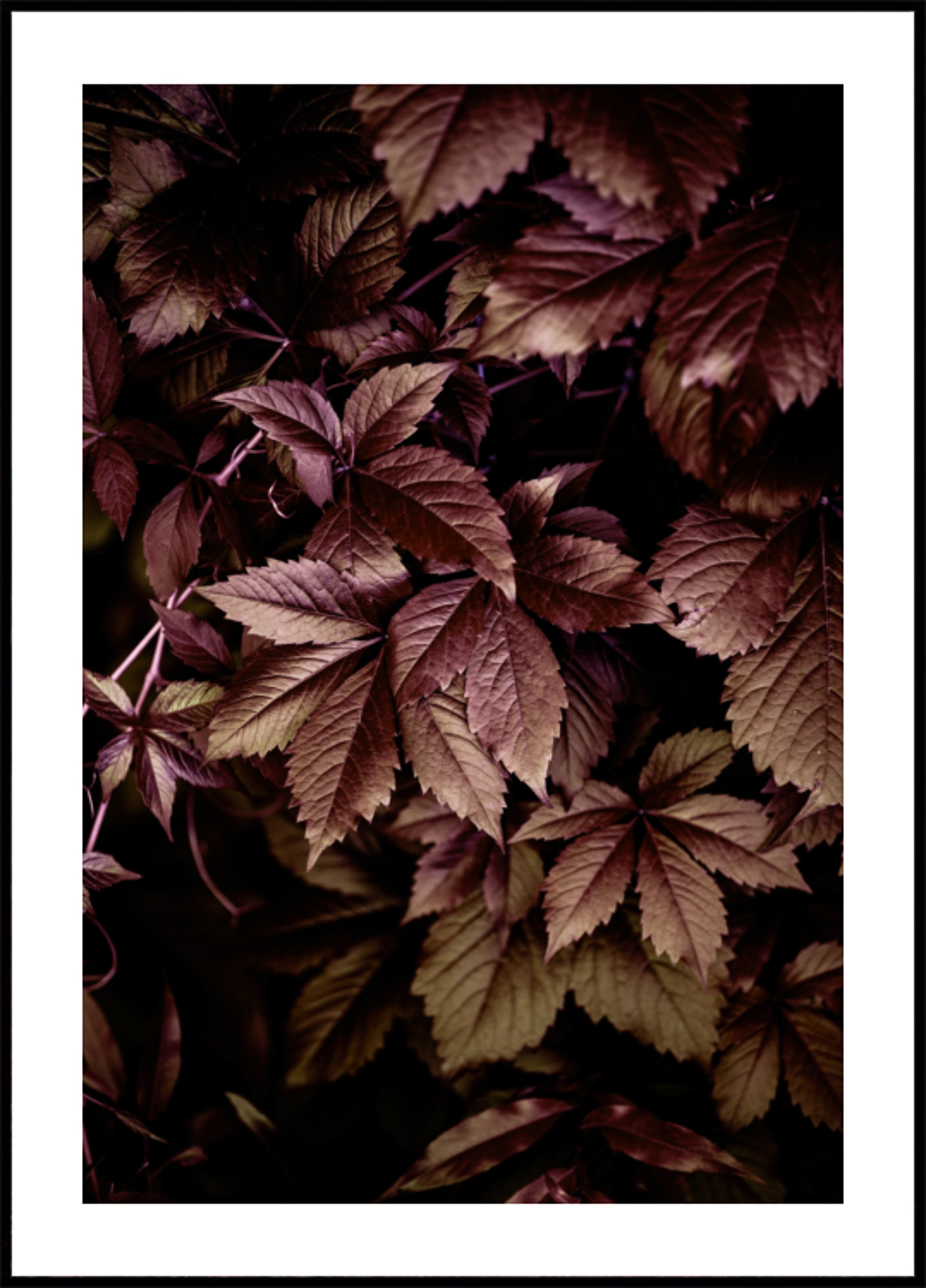 Herbstlaub 13