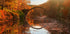 Autumn lake Plakat - Posterbox