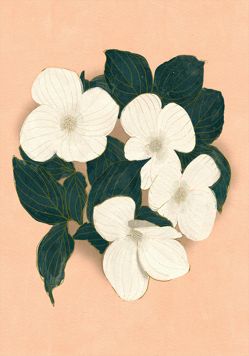 Dogwoods on Pink (NEW) - Posterbox