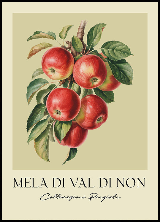 Mela Di Val Di Non (NEW) - Posterbox