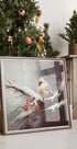 Winter&Feathered Perch Plakater - Posterbox