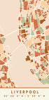 Black Maps Earth Tones 40 Plakat - Posterbox