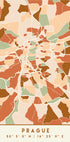Black Maps Earth Tones 69 Plakat - Posterbox