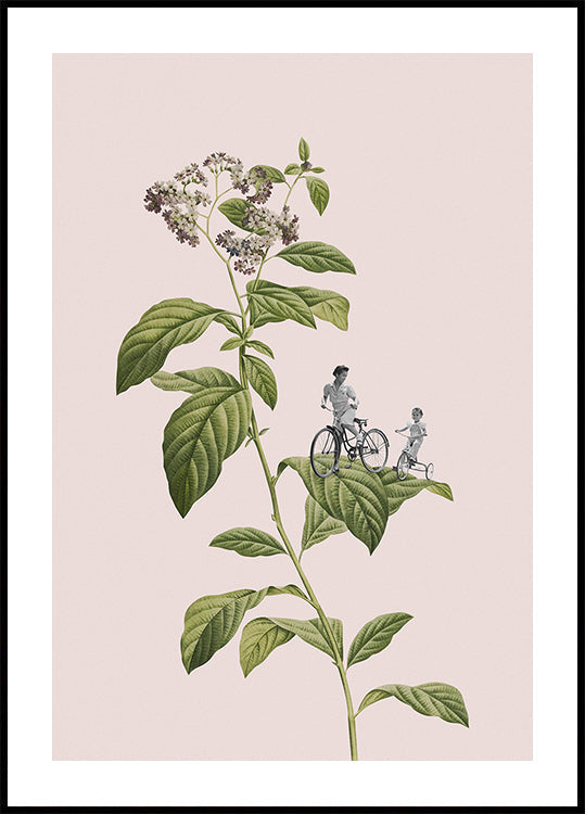 Botanical cycling - Posterbox