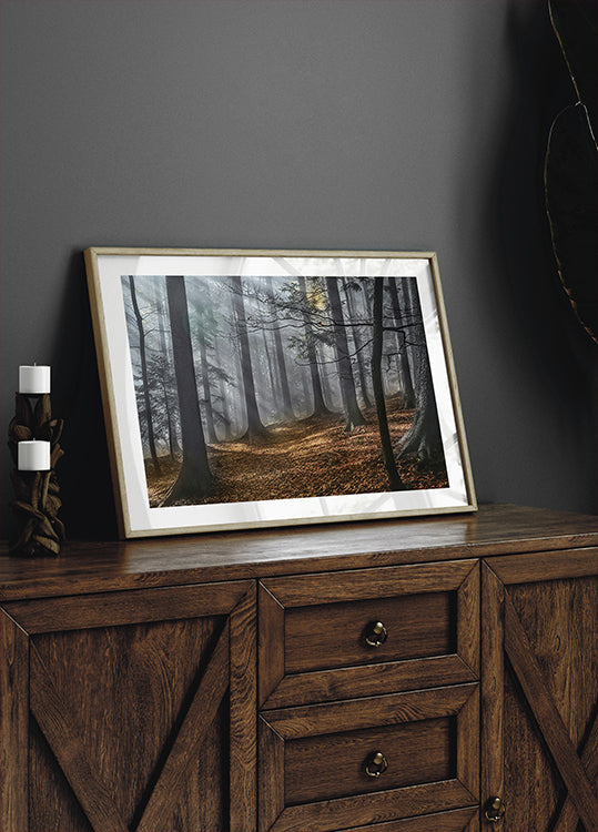 Enchanted forest (NEW) - Posterbox
