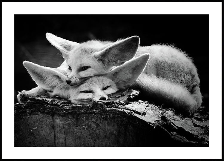 The happy couple - Posterbox