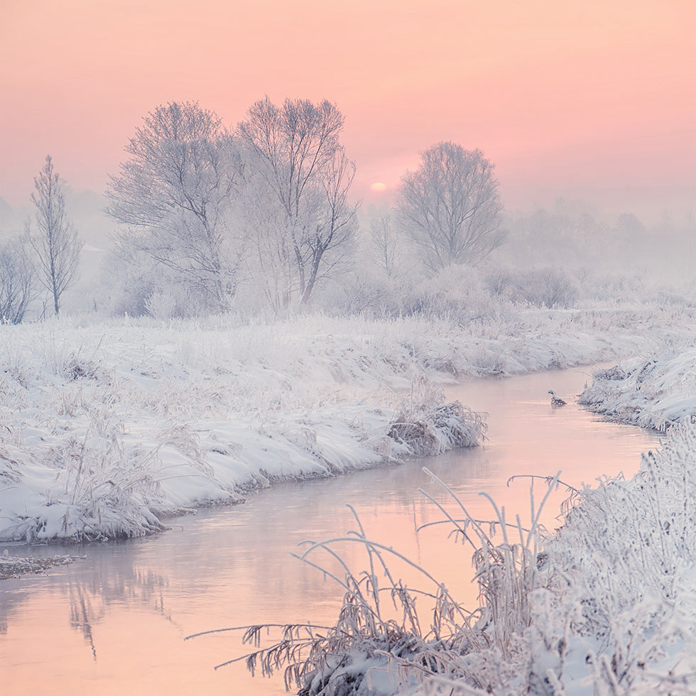 road to the sun Plakat - Posterbox
