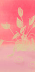 Raspberry Dream - Posterbox