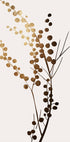 Golden Brench  1 - Posterbox