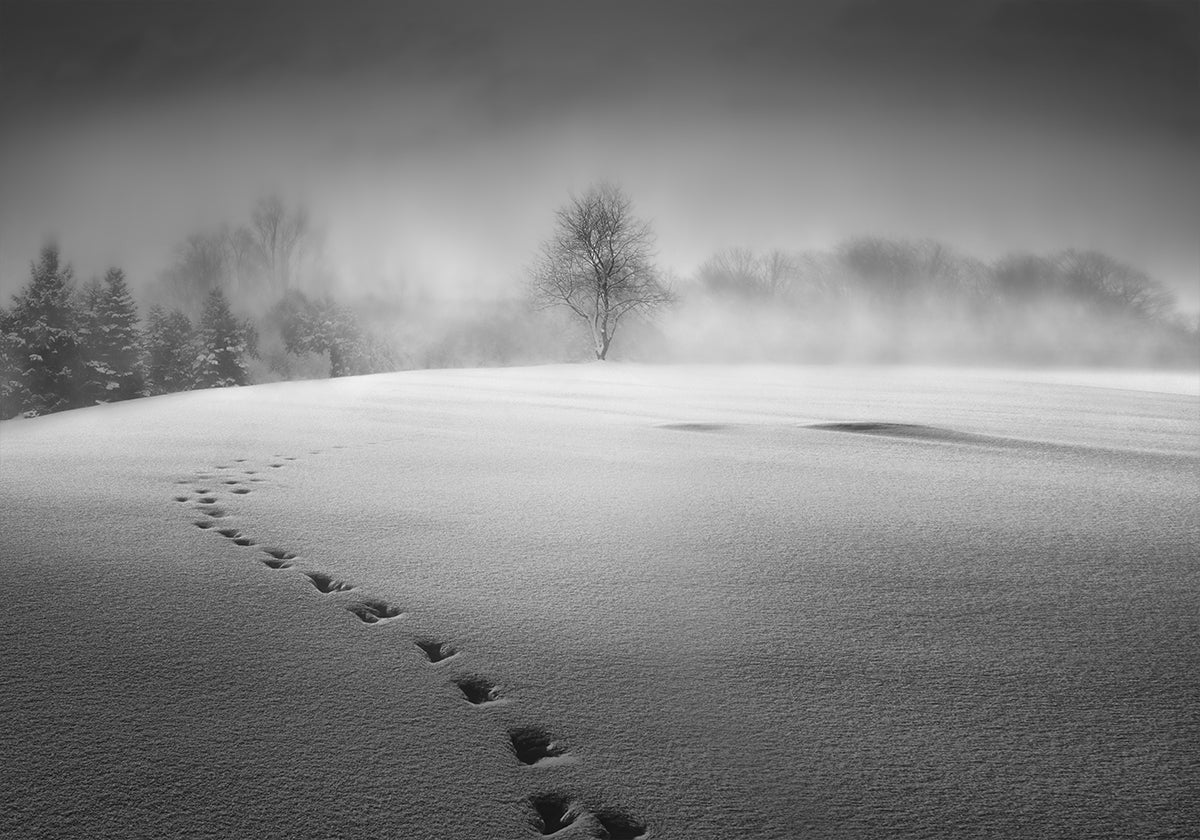 Winter scenery Plakat - Posterbox