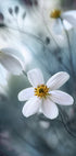 Cosmos - Posterbox