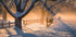 After Snow Storm Plakat - Posterbox