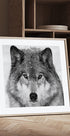 Wolf Portrait Plakater - Posterbox
