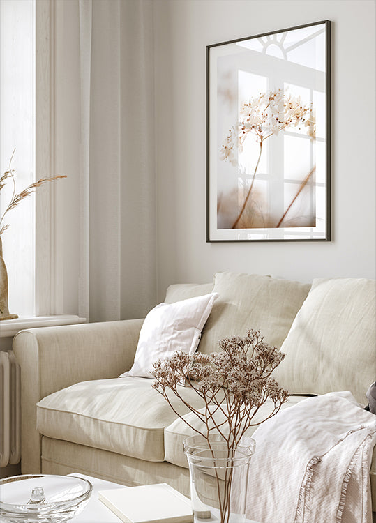 Weiche Trockenblume_braun