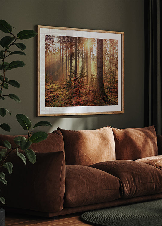 Poster Geheimnisvolles Licht des Herbstwaldes 