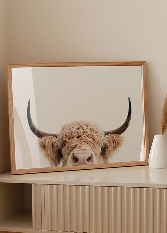 Spähende Kuh-Poster