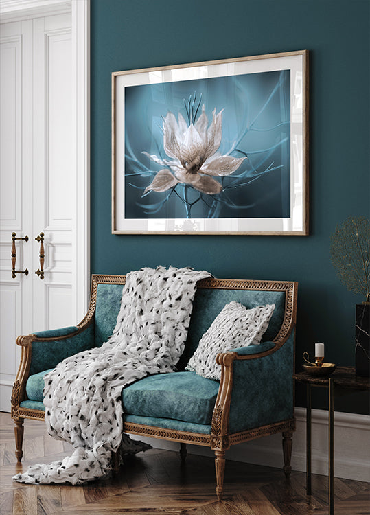 *Nigella* Poster