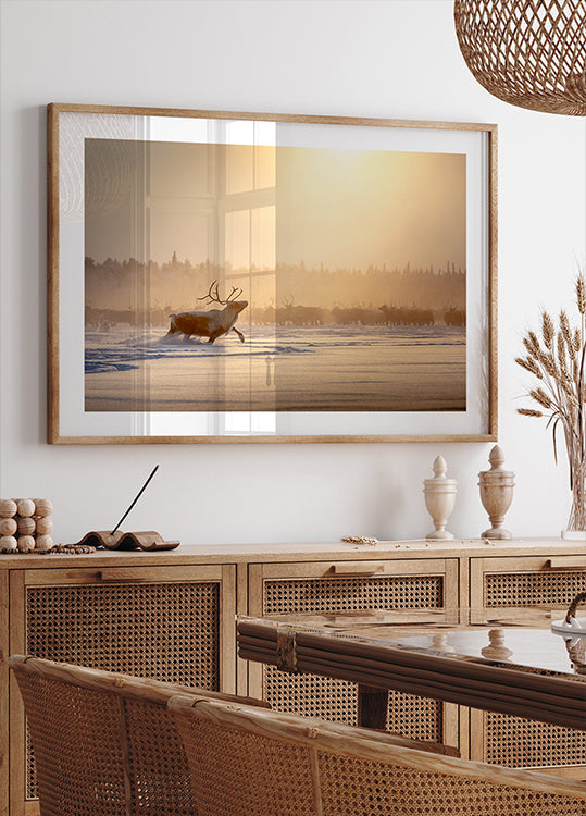 Alpha-Männchen-Poster